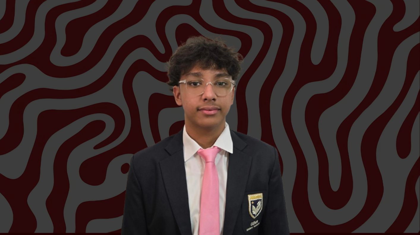 Mathematics track mentor