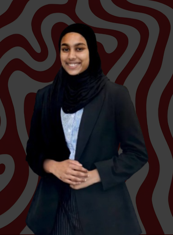 Computer science track mentor