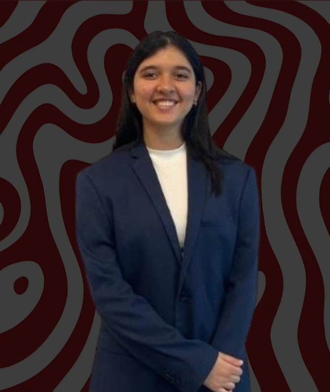 Computer science track mentor