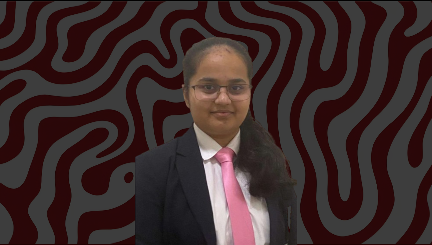 Computer science track mentor